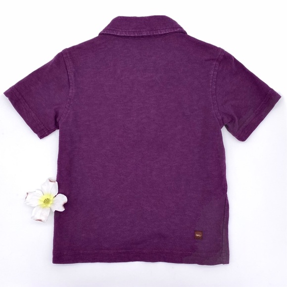 EUC Tea Collection Purple Polo Shirt, 12-18m - Picture 2 of 9